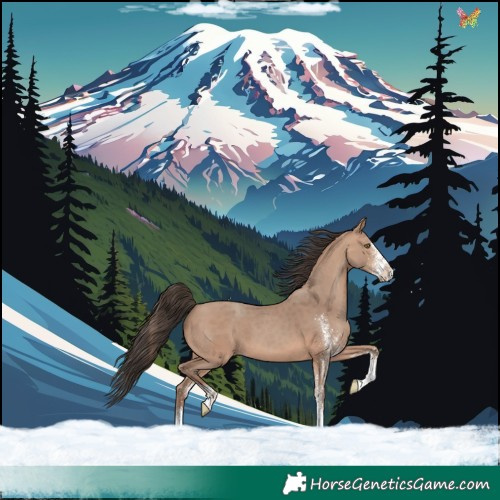 Horse Color:White Spotted Sable Champagne 