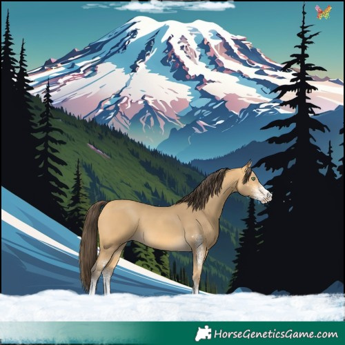 Horse Color:White Spotted Amber Cream Champagne 
