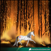 Horse Color:Bay Roan Tobiano Near Leopard Rabicano