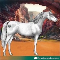 Horse Color:White Spotted Silver Black Chinchilla Splash