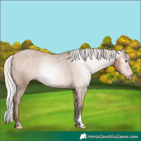 Horse Color:Gray Silver Bay Pearl Varnish 