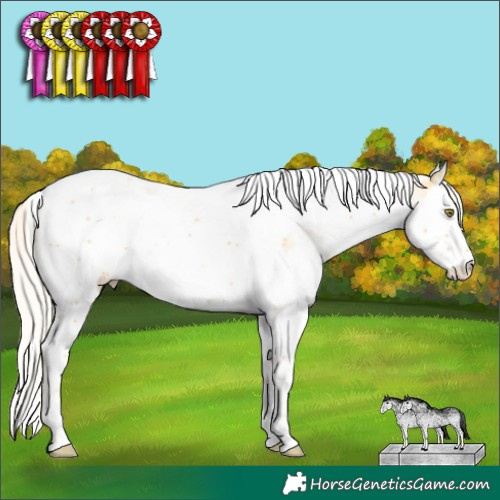 Horse Color:White Spotted Palomino Splash Tobiano 
