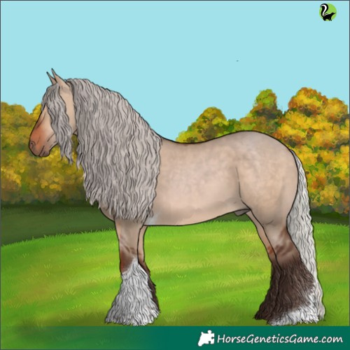 Horse Color:Silver Bay Dun Tobiano 