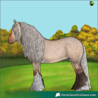 Horse Color:Silver Bay Dun Tobiano 