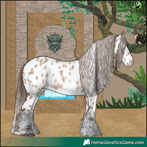 Horse Color:Sable Champagne Dun Near Leopard 