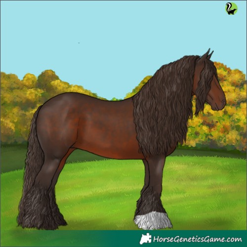 Horse Color:Liver Chestnut 
