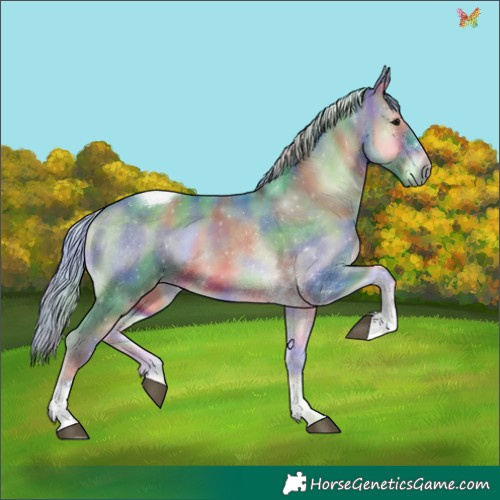 Horse Color:Nacre Watercolor Silver Brown Onyx Tobiano 