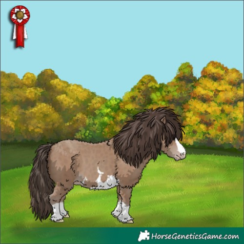 Horse Color:Classic Champagne 