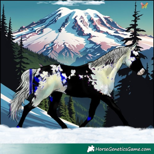 Horse Color:Watercolor Chocolate Palomino Onyx Splash Tobiano Rabicano