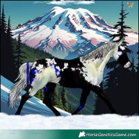 Horse Color:Watercolor Chocolate Palomino Onyx Splash Tobiano Rabicano 