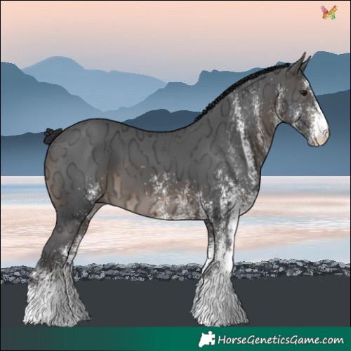 Horse Color:White Spotted Brown Ice 