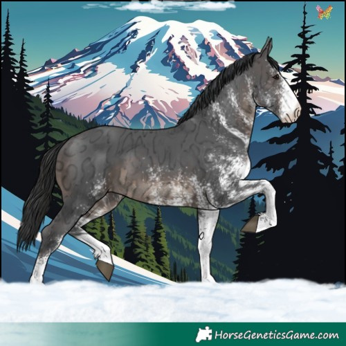 Horse Color:White Spotted Brown Ice 