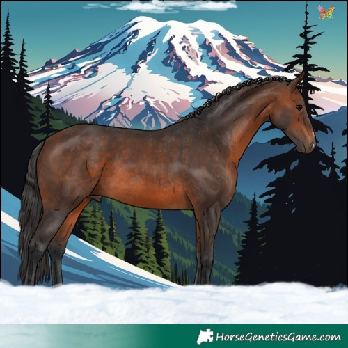 Horse Color:Brown Sabino 
