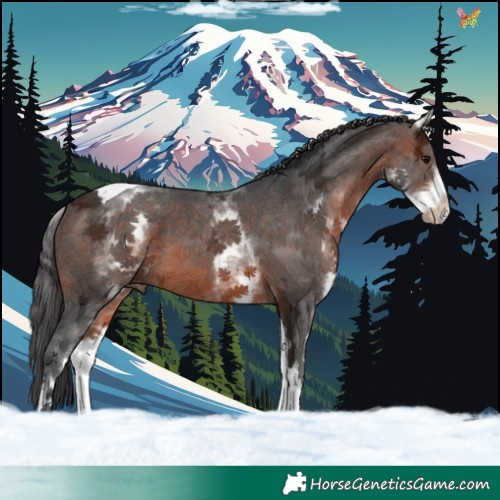 Horse Color:White Spotted Brown Ice Tobiano 