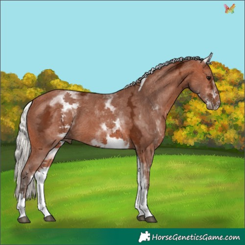 Horse Color:White Spotted Silver Bay Ice Tobiano 