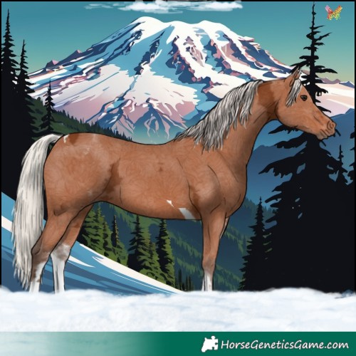 Horse Color:White Spotted Silver Bay Ice Tobiano 