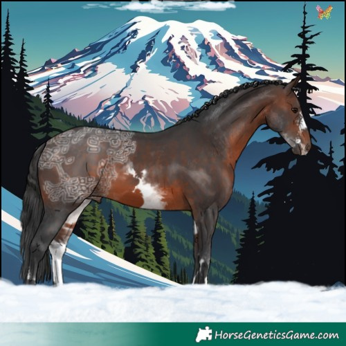 Horse Color:White Spotted Brown Ice Sabino 