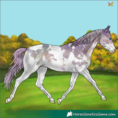Horse Color:Painted Watercolor White Spotted Liver Chestnut Splash Tobiano