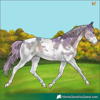 Horse Color:Painted Watercolor White Spotted Liver Chestnut Splash Tobiano 
