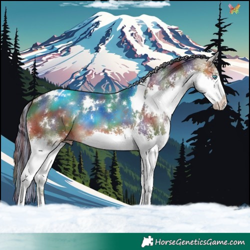 Horse Color:Painted Nacre White Spotted Bay Splash Tobiano 