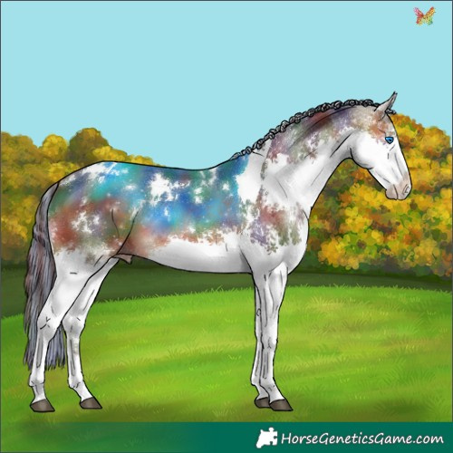 Horse Color:Painted Nacre White Spotted Bay Splash Tobiano 