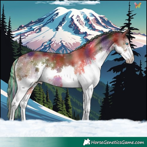 Horse Color:Painted Nacre Liver Chestnut Splash Tobiano 