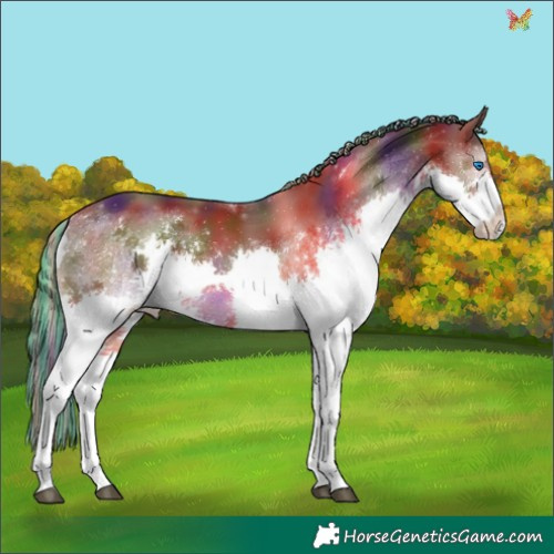 Horse Color:Painted Nacre Liver Chestnut Splash Tobiano 