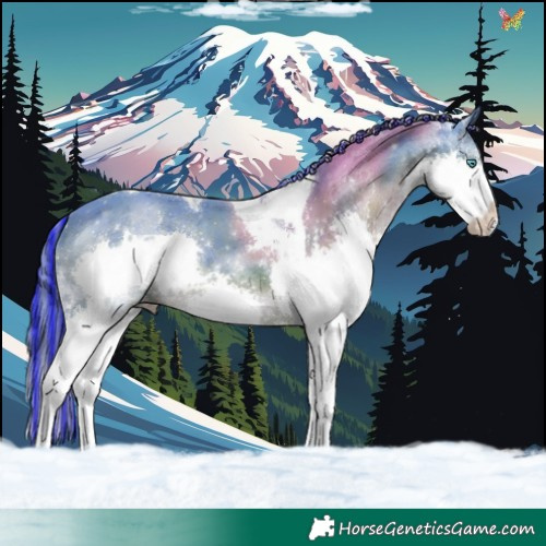 Horse Color:Painted Watercolor Liver Chestnut Splash Tobiano 