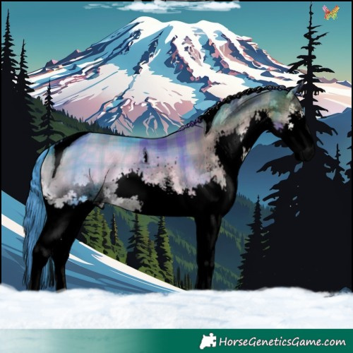 Horse Color:Void Watercolor Plaid  White Spotted Brown Onyx Splash Tobiano 