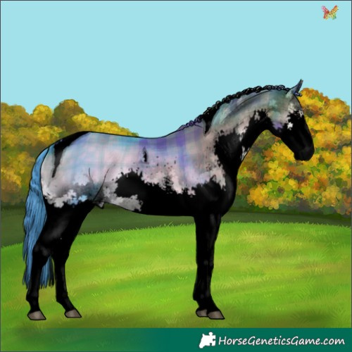 Horse Color:Void Watercolor Plaid  White Spotted Brown Onyx Splash Tobiano 
