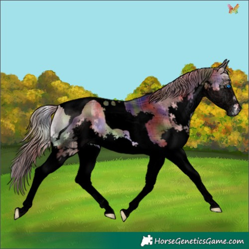 Horse Color:Void Nacre Plaid  Liver Red Onyx Splash Tobiano 