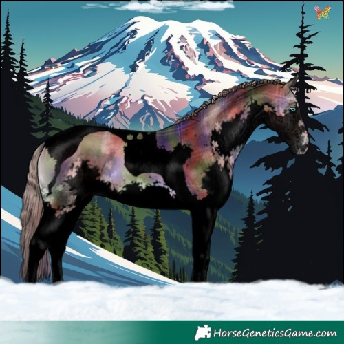 Horse Color:Void Nacre Plaid  Liver Red Onyx Splash Tobiano 