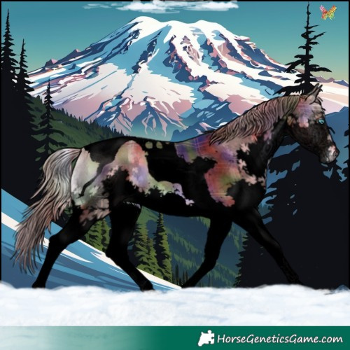 Horse Color:Void Nacre Plaid  Liver Red Onyx Splash Tobiano 
