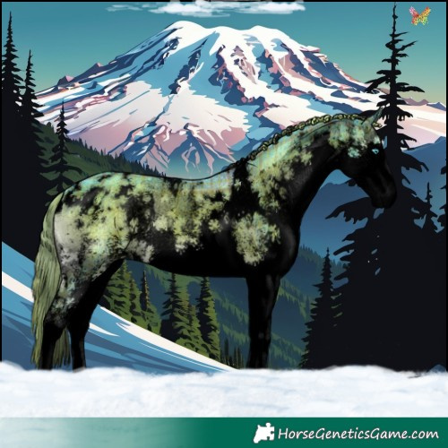Horse Color:Void Watercolor Plaid White Spotted Liver Red Onyx Splash