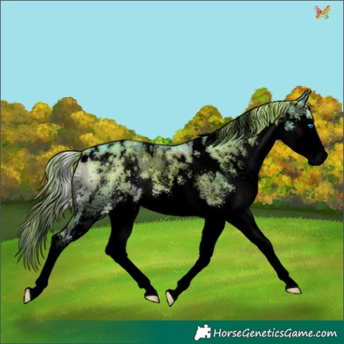 Horse Color:Void Watercolor Plaid White Spotted Liver Red Onyx Splash