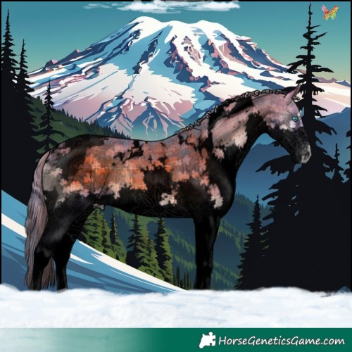 Horse Color:Void Watercolor Plaid  White Spotted Blue Onyx Splash Tobiano 