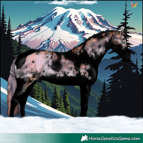 Horse Color:Void Watercolor Plaid  White Spotted Liver Red Onyx Splash Tobiano 