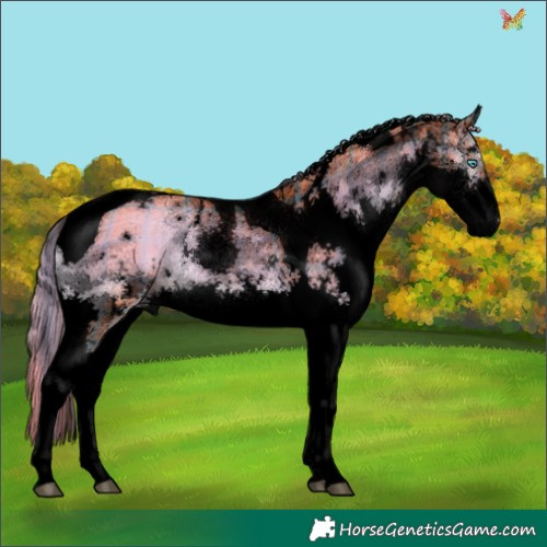 Horse Color:Void Watercolor Plaid  White Spotted Liver Red Onyx Splash Tobiano 