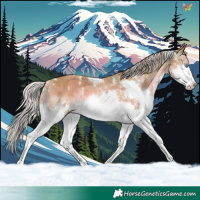 Horse Color:Watercolor White Spotted Chestnut Splash Tobiano 