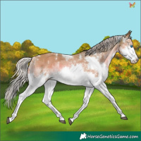 Horse Color:Watercolor White Spotted Chestnut Splash Tobiano 