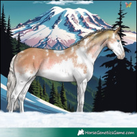 Horse Color:Watercolor White Spotted Chestnut Splash Tobiano 