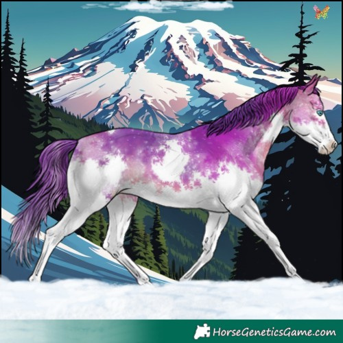 Horse Color:Watercolor Bay Splash Tobiano 