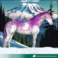 Horse Color:Watercolor Bay Splash Tobiano