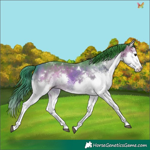 Horse Color:Watercolor White Spotted Bay Splash 