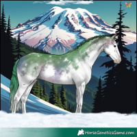 Horse Color:Watercolor White Spotted Bay Splash 