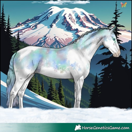 Horse Color:Nacre Watercolor White Spotted Black Splash Tobiano 