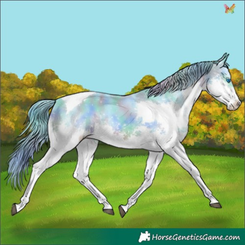 Horse Color:Nacre Watercolor White Spotted Black Splash Tobiano