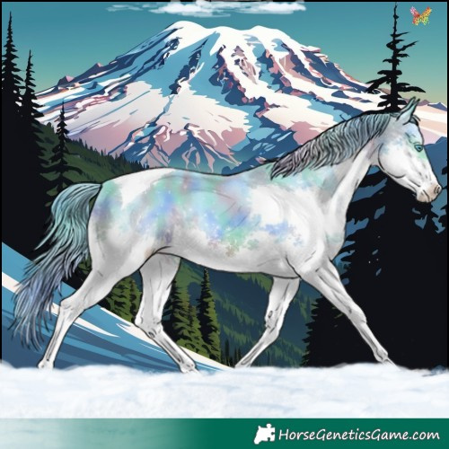 Horse Color:Nacre Watercolor White Spotted Black Splash Tobiano