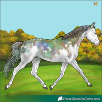 Horse Color:Nacre Watercolor White Spotted Liver Chestnut Splash 