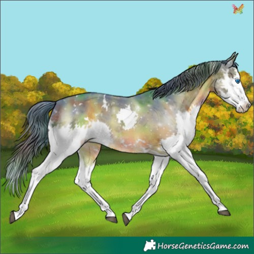 Horse Color:Nacre Watercolor White Spotted Brown Splash